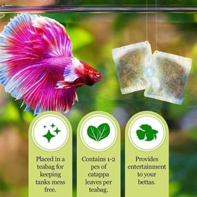 img 3 attached to 🐠 JOR Betta Teabags, 1.4-Ounce, Catappa Leaves Crushed, Water Regulation & Breeding Encouragement, 6 Pack Bags