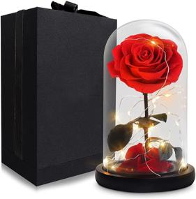 img 4 attached to 🌹 Foleto Preserved Real Rose with LED in Glass Dome - Perfect Women's Gift for Mother's Day, Christmas, Valentine's Day, Birthday - Large Red Eternal Rose for Girlfriend or Wife