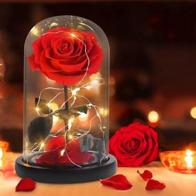 img 3 attached to 🌹 Foleto Preserved Real Rose with LED in Glass Dome - Perfect Women's Gift for Mother's Day, Christmas, Valentine's Day, Birthday - Large Red Eternal Rose for Girlfriend or Wife