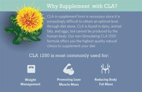 img 1 attached to Eukonic CLA 1250: Boost Weight Loss & Fat Burn with Natural Diet Pills, 100% Safflower Oil | Lose Weight Faster | Non-GMO | 3rd Party Tested