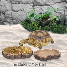 img 2 attached to 🦎 Orchid Valley Reptile Water and Food Dish with Hamster Sand Bath Container – Gecko, Snake, Turtle, Bearded Dragon – Log Design for Natural Look Terrarium Décor