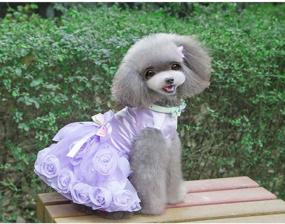 img 2 attached to 👰 Chic Dog Wedding Dress & Birthday Party Tutu Dress for Small Dogs and Cats by Delifur