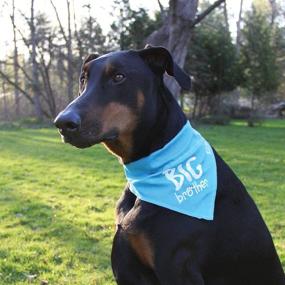 img 2 attached to 🐾 Pavilion Gift Company 45613 Pavilion's Pets-Blue Paw Print Large Dog Slip on The Collar Bandanna-Big Brother: Стиль и комфорт для вашего пушистого друга!