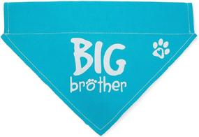 img 4 attached to 🐾 Pavilion Gift Company 45613 Pavilion's Pets-Blue Paw Print Large Dog Slip on The Collar Bandanna-Big Brother: Стиль и комфорт для вашего пушистого друга!