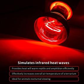 img 1 attached to 🦎 Reptile Red Night Light Bulb - 50W Infrared Basking Spot Lamp: Heat Source for Bearded Dragon, Turtle, Hermit Crab, Leopard Gecko Tank - Pack of 2
