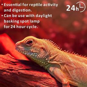 img 2 attached to 🦎 Reptile Red Night Light Bulb - 50W Infrared Basking Spot Lamp: Heat Source for Bearded Dragon, Turtle, Hermit Crab, Leopard Gecko Tank - Pack of 2