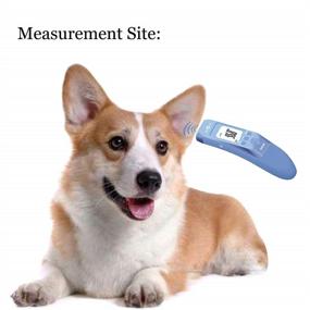 img 2 attached to 🐾 MINDPET-MED Fast Clinical Pet Thermometer: Accurate Ear Temperature Reading for Dogs, Cats, and More in 3 Switchable Modes (Body, Object, Room)
