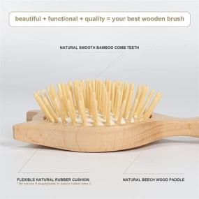 img 3 attached to 🔍 Small Travel Hair Brush - BESTOOL Wooden Hairbrush for Women, Men, and Kids - Massaging, Detangling, Defrizzing, Oil Distribution - Natural Wooden Toddler Hairbrush