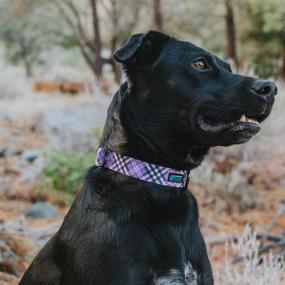 img 1 attached to 🐾 Max and Neo Plaid Pattern Dog Collar with Donation - Every Collar Sold Supports a Dog Rescue