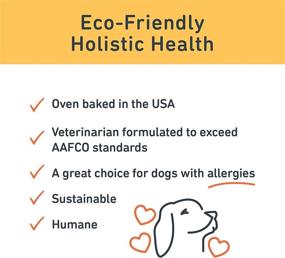 img 1 attached to 🦗 Jiminy's Good Grub Insect Protein Oven-Baked Dog Food: USA-Made, Gluten-Free, Sustainable, High Protein, Hypoallergenic