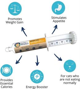 img 2 attached to 🌿 Nutritional Supplement for Under the Weather Pets: Ready Cal for Cats & Dogs - Supports Weight Gain, Appetite, and Health with 9 Vitamins, 7 Minerals, and Essential Fatty Acids
