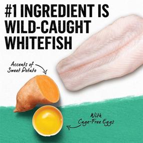 img 1 attached to Purina Beyond Grain Free Ocean Whitefish & Egg Adult Dry Cat Food: A Natural and Nutritious Choice