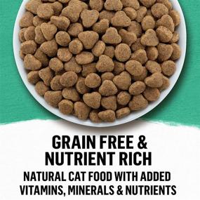 img 3 attached to Purina Beyond Grain Free Ocean Whitefish & Egg Adult Dry Cat Food: A Natural and Nutritious Choice