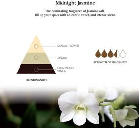 img 1 attached to 🌸 Aronica Mini Flower and Reed Diffuser: Midnight Jasmine Scent, 1.35 oz/40 ml - Luxurious Bathroom Diffuser for Unforgettable Home Fragrance