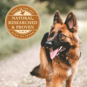 img 3 attached to 🐕 Eagle Pack Natural Dry Dog Food Lamb & Rice: Premium Quality Nourishment for your Beloved Canine