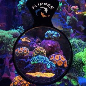 img 2 attached to FL!PPER DeepSee Aquarium Magnifier: The Ultimate Magnetic Viewer for Fish Tank Enthusiasts and Photographers