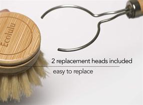 img 1 attached to 🌿 ECOLULU Natural Bamboo Dish Brush & Wood Bottle Brush for Wide Mouth Bottles, Cups, and Jars - Includes 2 Replacement Heads (4 units total) - Biodegradable and Eco-Friendly Products