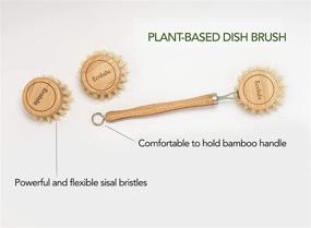 img 3 attached to 🌿 ECOLULU Natural Bamboo Dish Brush & Wood Bottle Brush for Wide Mouth Bottles, Cups, and Jars - Includes 2 Replacement Heads (4 units total) - Biodegradable and Eco-Friendly Products