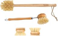 🌿 ecolulu natural bamboo dish brush & wood bottle brush for wide mouth bottles, cups, and jars - includes 2 replacement heads (4 units total) - biodegradable and eco-friendly products logo