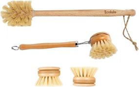 img 4 attached to 🌿 ECOLULU Natural Bamboo Dish Brush & Wood Bottle Brush for Wide Mouth Bottles, Cups, and Jars - Includes 2 Replacement Heads (4 units total) - Biodegradable and Eco-Friendly Products