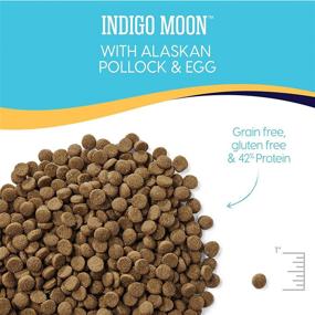 img 1 attached to 🐱 Indigo Moon - High Protein & Grain-Free Holistic Dry Cat Food for All Life Stages - Solid Gold