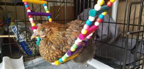 img 1 attached to 🐔 Enhance Pet Agility with Mrli Pet Wooden Chicken Flexible Ladder & Parrot Chicken Swing Toy