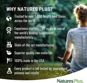 img 1 attached to 🌱 NaturesPlus SPIRU-TEIN Gold Shake - Vanilla - 1.03 lbs, Soy-Free Vegetarian Protein Powder - Whole Food Plant Based Meal Replacement - Natural Sustainable Energy - Gluten-Free - 13 Servings with Improved SEO