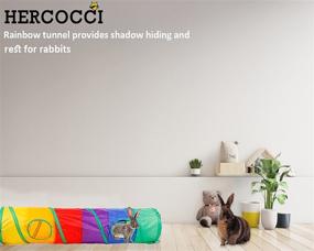 img 2 attached to 🐇 HERCOCCI Bunny Tunnel and 4-Pack of Grass Ball Hideaway Chew Toys for Small Animals - Collapsible Hideout Tubes for Enhanced Activity and Fun for Rabbits, Hamsters, Chinchillas, Guinea Pigs, and Ferrets