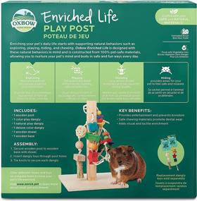 img 3 attached to 🐾 Enhance Your Pet's Playtime with the Oxbow Enriched Life Play Post