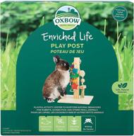 🐾 enhance your pet's playtime with the oxbow enriched life play post logo