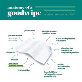 img 1 attached to Goodwipes Down There Feminine Hygiene Wipes: Shea-Coco Scent, Flushable, Hypoallergenic, 64 Individually Wrapped - Ideal for Travel (4 Packs of 16)