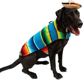 img 4 attached to Baja Blanket Factory Mexican Hallowen Dogs and Apparel & Accessories