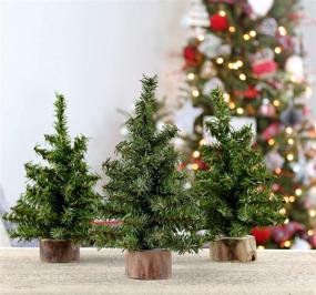 img 3 attached to AuldHome 3-Pack of 8-Inch Mini Christmas Trees with Canadian Pine Greenery - Tabletop Holiday Decor for Better SEO
