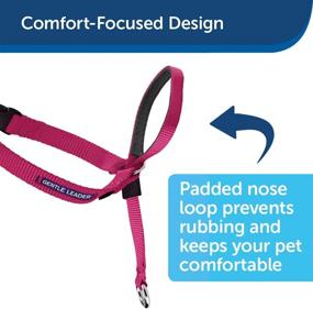 img 1 attached to 🐶 Effective Gentle Leader Headcollar for Leash & Harness Training - No-Pull Dog Collar for Optimal Results