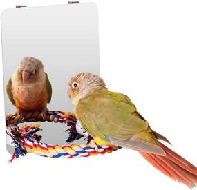 img 2 attached to 🐦 Large Stainless Steel Bird Mirror by Colorday