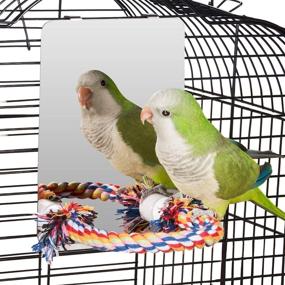 img 1 attached to 🐦 Large Stainless Steel Bird Mirror by Colorday