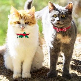 img 1 attached to 🎄 Azuza 2Pack Christmas Kitten Collar: Quick Release, Safe Buckle, Festive Breakaway Cat Collars with Bowtie - Perfect for Kittens and Cats!