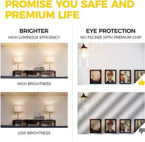 img 2 attached to 💡 OmiBrite E26 Edison Bulbs for Industrial Electrical Applications