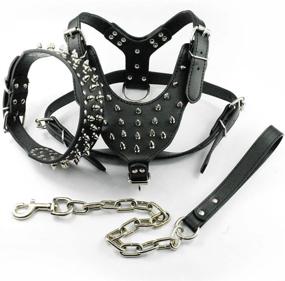 img 4 attached to 🐶 Spiked Studded Leather Dog Collars, Harnesses & Leashes 3-Piece Matching Set for Medium & Large Pitbulls and Boxers