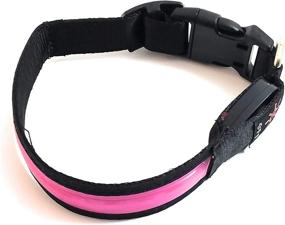 img 2 attached to Rechargeable LED Light Up Dog Collar by BrightPaws - Water Resistant & Safe Lite for Medium Dogs (Pink)