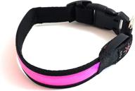 rechargeable led light up dog collar by brightpaws - water resistant & safe lite for medium dogs (pink) logo