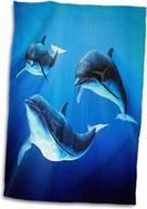 полотенце для плавания rose dolphin trio логотип