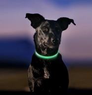 🐶 usb rechargeable lighted dog collar - waterproof glow in the dark collar for night safety, dog walking, camping, backyard, pet protection (medium, green) logo