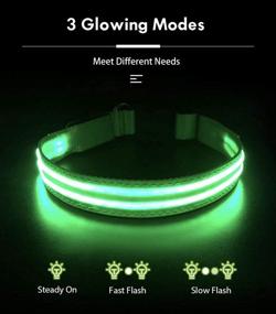 img 1 attached to 🐶 USB Rechargeable Lighted Dog Collar - Waterproof Glow in the Dark Collar for Night Safety, Dog Walking, Camping, Backyard, Pet Protection (Medium, Green)