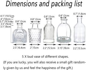 img 2 attached to 🌷 Bud Vases in Bulk - Set of 5 EylKoi Vintage Glass Vases: Various Shapes, Mini & Clear for Centerpiece, Wedding Table