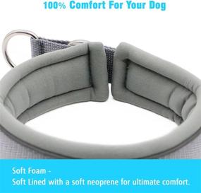 img 1 attached to 🐾 1.57-Inch Wide Slip-On Dog Collar for Daily Use, Beach, Forest, Agility and More - Soft Foam, Reflective Strips, Stainless Steel Hardware, Quick-Drying Neoprene Lining, and Enhanced SEO