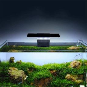 img 3 attached to Hoseten Aquarium Lighting Lightweight Freshwater