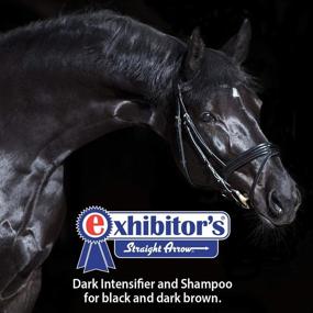 img 2 attached to 🖤 Enhance Dark Coats with Exhibitor's Quic Black Shampoo: 16oz Color-Enhancing Solution (321266)