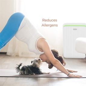 img 3 attached to 🌬️ Aprilaire True HEPA Air Purifier 9550 - 3-Stage Filtration, Eliminates Allergens & Odors, Ozone-Free, Ideal for 495 sq. ft. Rooms