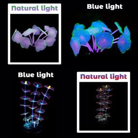 img 2 attached to 🐠 TIRTI Glow Aquarium Decorations - Artificial Coral Plant Ornament with Glowing Stones for Fish Tank, Simulation Silicone Accessories Decor